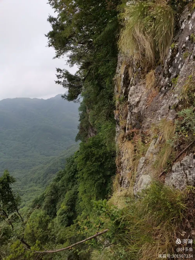 山高路远 有惊无险